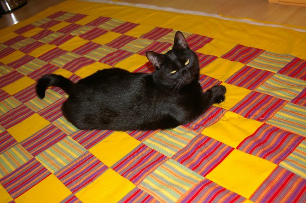 Zirkusquilt geheftet mit Katzenhilfe Zirkusquilt geheftet mit Katzenhilfe